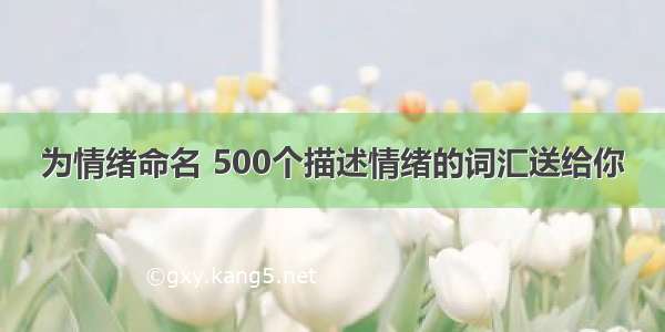 为情绪命名 500个描述情绪的词汇送给你