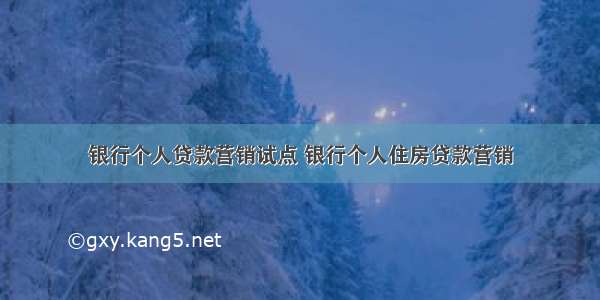 银行个人贷款营销试点 银行个人住房贷款营销