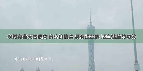 农村有些天然野菜 食疗价值高 具有通经脉 活血健脑的功效