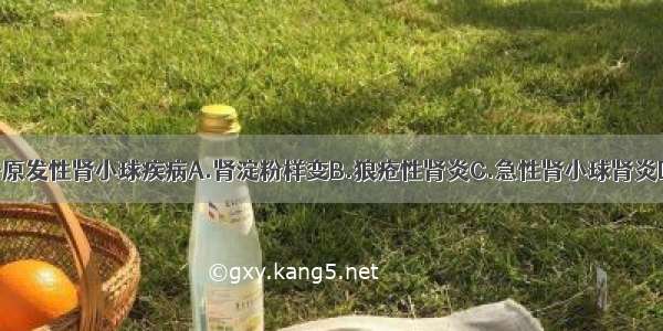 下面哪些属于原发性肾小球疾病A.肾淀粉样变B.狼疮性肾炎C.急性肾小球肾炎D.急进性肾炎