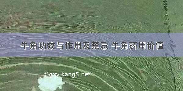 牛角功效与作用及禁忌 牛角药用价值