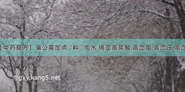 【中药良方】蒲公英加点“料”泡水 搞定高尿酸 高血脂 高血压 高血糖