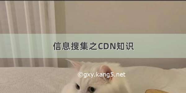 信息搜集之CDN知识