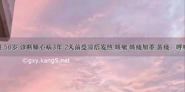 病人女性 56岁 诊断肺心病3年 2天前受凉后发热 咳嗽 咳痰加重 黄痰。呼吸困难不