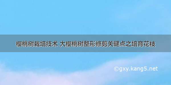 樱桃树栽培技术 大樱桃树整形修剪关键点之培育花枝