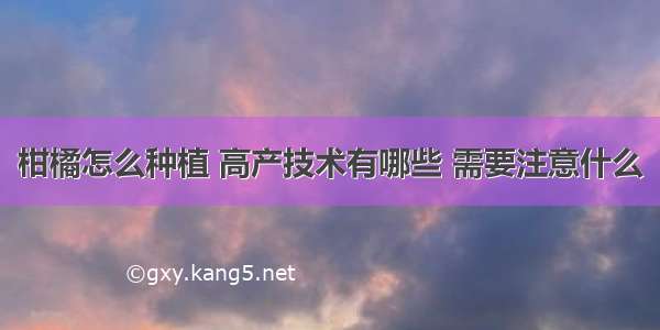 柑橘怎么种植 高产技术有哪些 需要注意什么