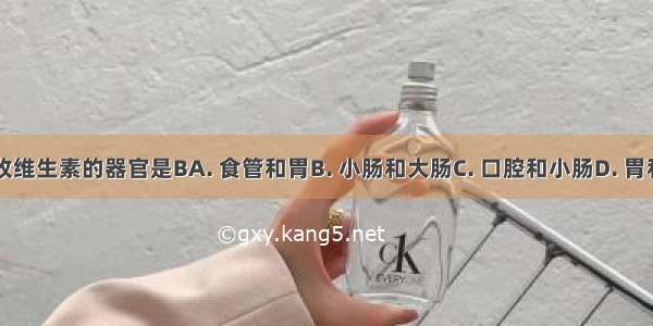 能吸收维生素的器官是BA. 食管和胃B. 小肠和大肠C. 口腔和小肠D. 胃和大肠