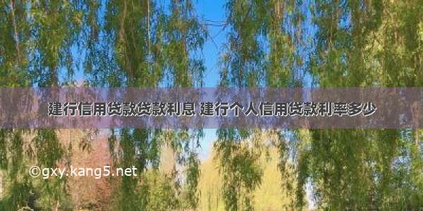 建行信用贷款贷款利息 建行个人信用贷款利率多少