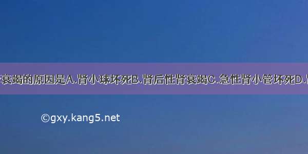 脑出血引起肾衰竭的原因是A.肾小球坏死B.肾后性肾衰竭C.急性肾小管坏死D.肾性肾衰竭E.