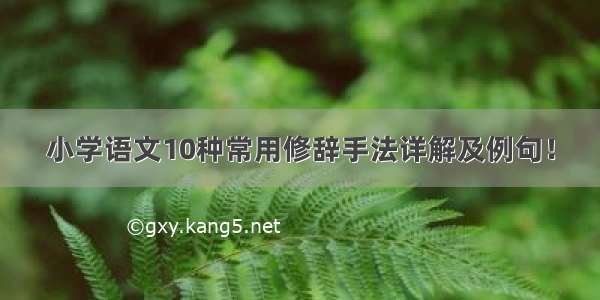 小学语文10种常用修辞手法详解及例句！