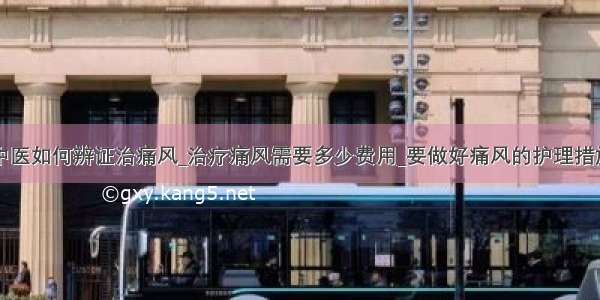 中医如何辨证治痛风_治疗痛风需要多少费用_要做好痛风的护理措施