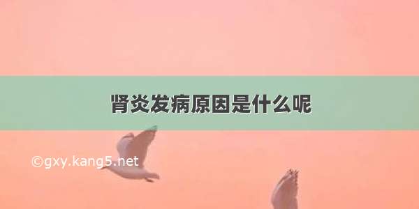 肾炎发病原因是什么呢