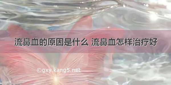 流鼻血的原因是什么 流鼻血怎样治疗好