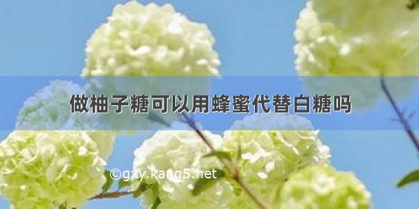 做柚子糖可以用蜂蜜代替白糖吗