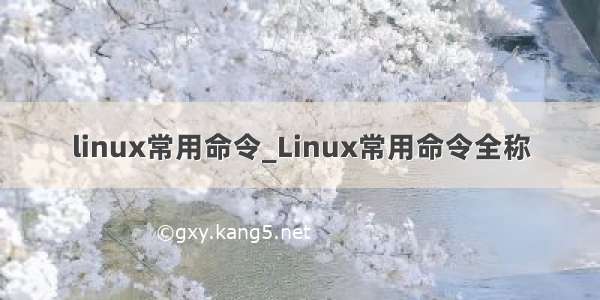 linux常用命令_Linux常用命令全称