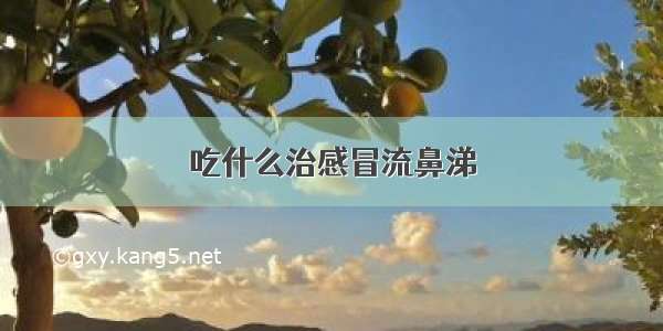 吃什么治感冒流鼻涕