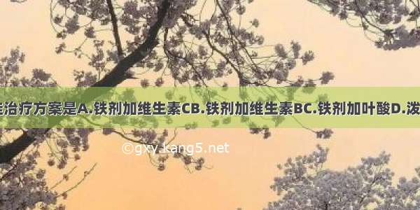 该患儿的最佳治疗方案是A.铁剂加维生素CB.铁剂加维生素BC.铁剂加叶酸D.泼尼松加铁剂E.