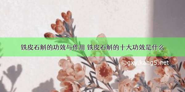 铁皮石斛的功效与作用 铁皮石斛的十大功效是什么