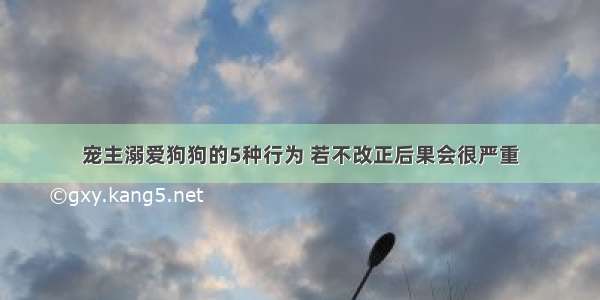 宠主溺爱狗狗的5种行为 若不改正后果会很严重