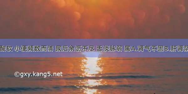 症见腰膝酸软 小便频数而清 尿后余沥不尽 舌淡脉弱 属A.肾气不固B.肝肾阴虚C.肾阳