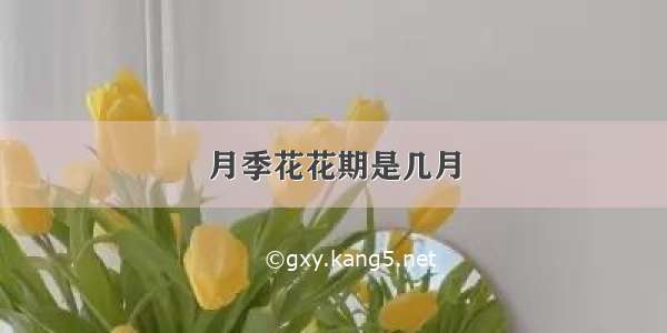 月季花花期是几月