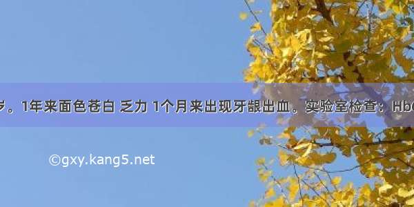 患者男 50岁。1年来面色苍白 乏力 1个月来出现牙龈出血。实验室检查：Hb68g/L WBC