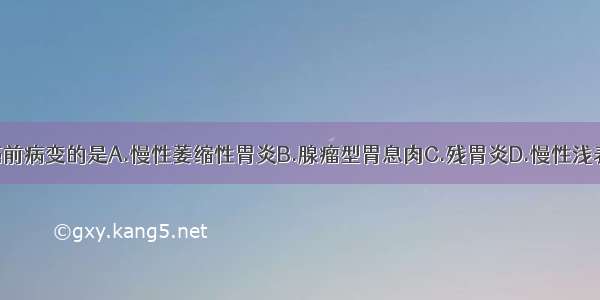 不是胃癌的癌前病变的是A.慢性萎缩性胃炎B.腺瘤型胃息肉C.残胃炎D.慢性浅表性胃炎E.少