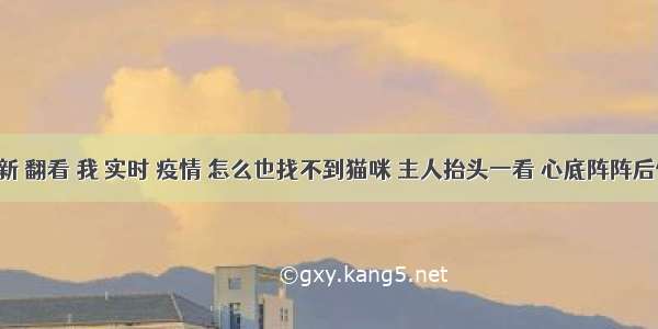 刷新 翻看 我 实时 疫情 怎么也找不到猫咪 主人抬头一看 心底阵阵后怕！