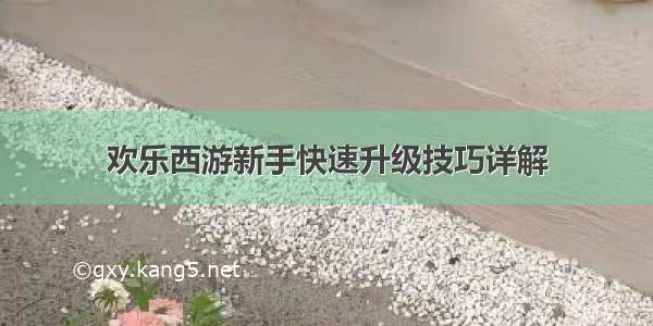 欢乐西游新手快速升级技巧详解