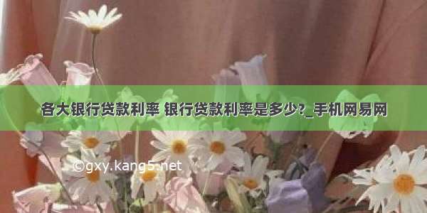 各大银行贷款利率 银行贷款利率是多少?_手机网易网