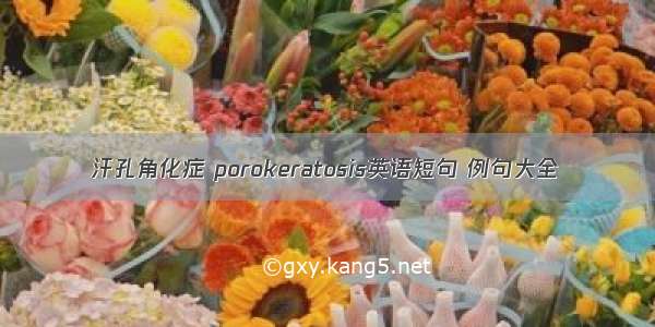 汗孔角化症 porokeratosis英语短句 例句大全