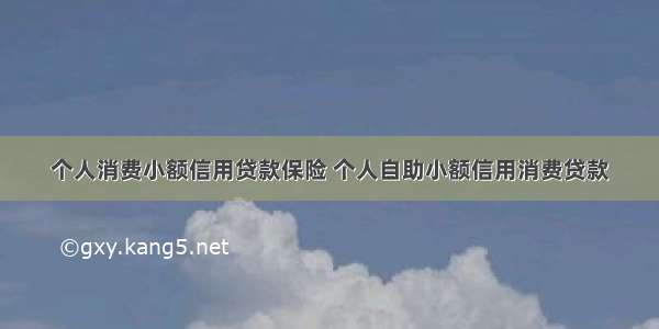 个人消费小额信用贷款保险 个人自助小额信用消费贷款