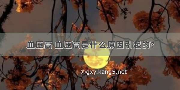 血压高 血压高是什么原因引起的?