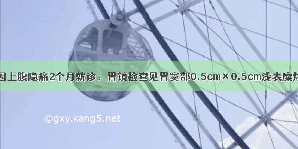 男性 42岁。因上腹隐痛2个月就诊。胃镜检查见胃窦部0.5cm×0.5cm浅表糜烂。病理诊断