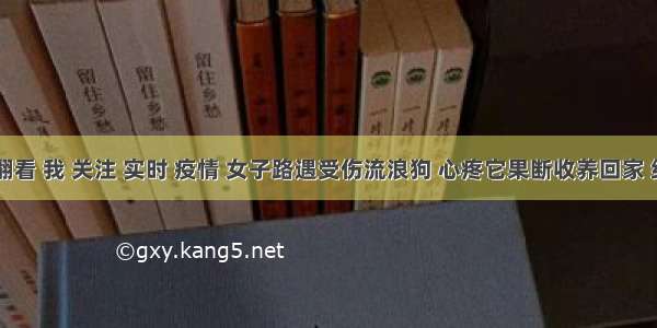 刷新 翻看 我 关注 实时 疫情 女子路遇受伤流浪狗 心疼它果断收养回家 结果给