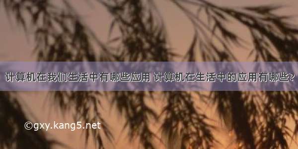 计算机在我们生活中有哪些应用 计算机在生活中的应用有哪些？