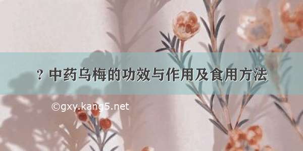 ? 中药乌梅的功效与作用及食用方法