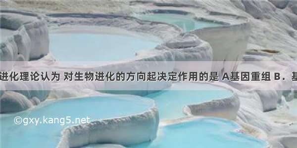 现代生物进化理论认为 对生物进化的方向起决定作用的是 A基因重组 B．基因突变 C