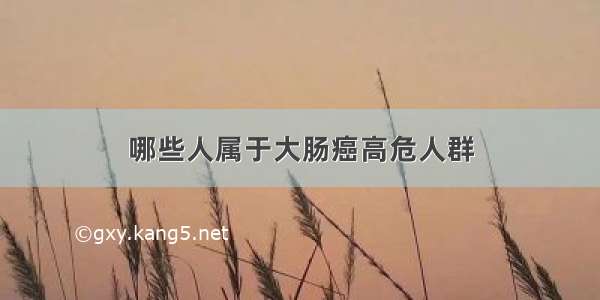 哪些人属于大肠癌高危人群