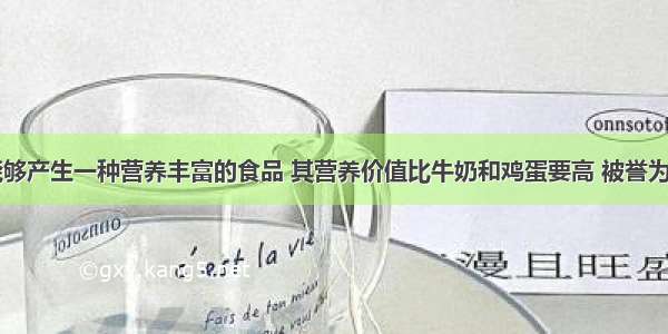 植物开花时 能够产生一种营养丰富的食品 其营养价值比牛奶和鸡蛋要高 被誉为“黄金