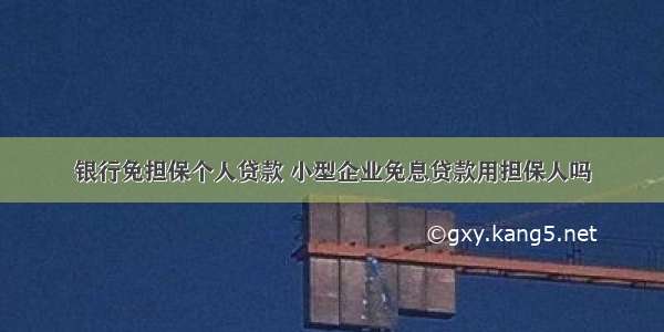 银行免担保个人贷款 小型企业免息贷款用担保人吗