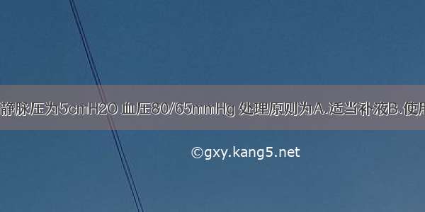 休克患者中心静脉压为5cmH2O 血压80/65mmHg 处理原则为A.适当补液B.使用强心药物C.