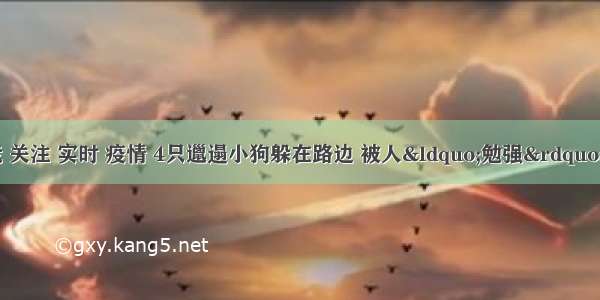 刷新 翻看 我 关注 实时 疫情 4只邋遢小狗躲在路边 被人“勉强”收养 长大后