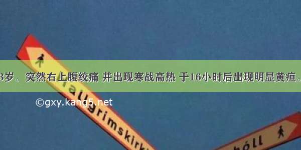 患者 男 43岁。突然右上腹绞痛 并出现寒战高热 于16小时后出现明显黄疸。查体：意