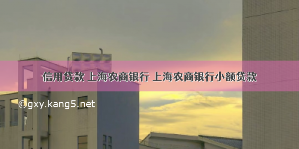 信用贷款 上海农商银行 上海农商银行小额贷款