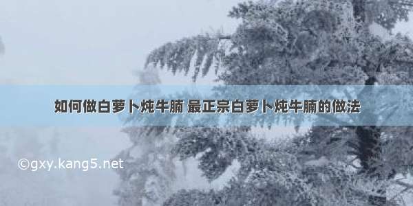 如何做白萝卜炖牛腩 最正宗白萝卜炖牛腩的做法