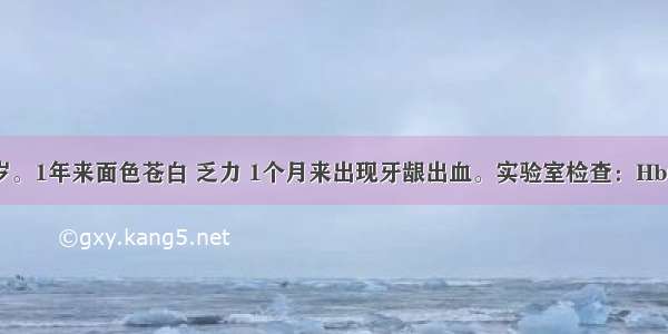 患者男 50岁。1年来面色苍白 乏力 1个月来出现牙龈出血。实验室检查：Hb68g/L WBC