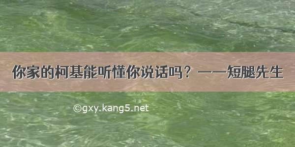 你家的柯基能听懂你说话吗？——短腿先生