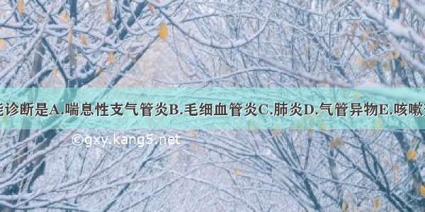 此患儿可能诊断是A.喘息性支气管炎B.毛细血管炎C.肺炎D.气管异物E.咳嗽变异性哮喘