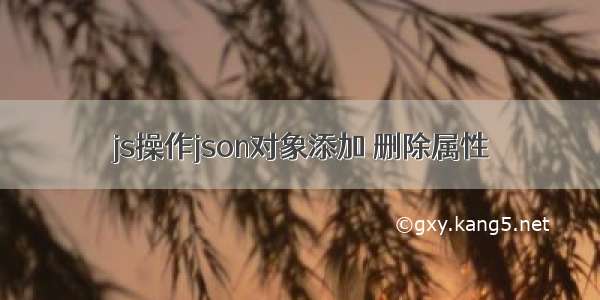 js操作json对象添加 删除属性